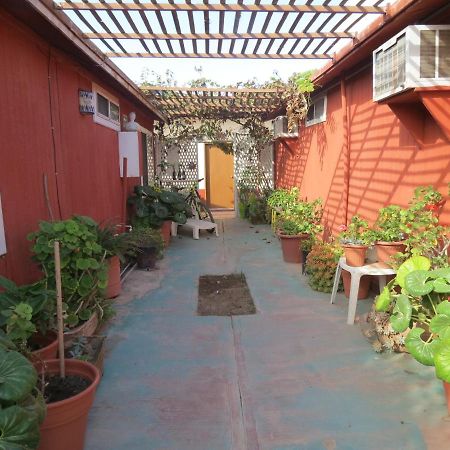 Hotel Malarrimo By Rotamundos Guerrero Negro Eksteriør billede