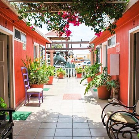 Hotel Malarrimo By Rotamundos Guerrero Negro Eksteriør billede